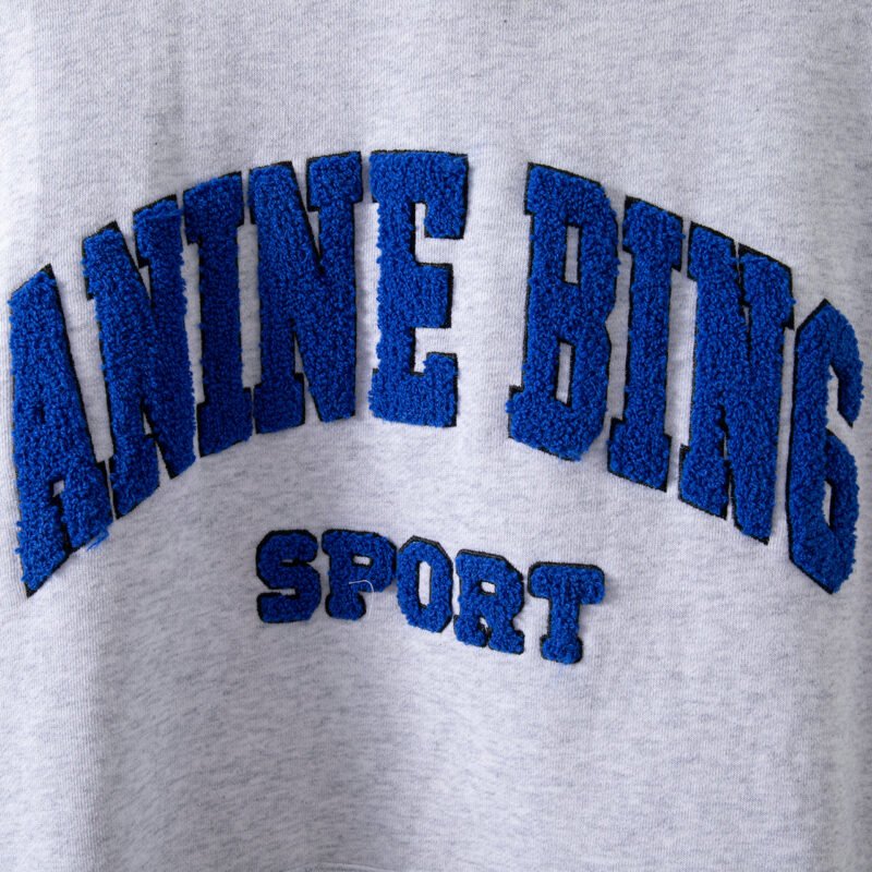Grey Special Embroidery Letters Hand-cranked Embroidery Embroidered Fleece Women's Hooded Sweatshirt-ABS2418GY - 图片 6