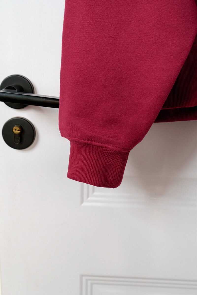 Burgundy Classic Letter Embroidered Fleece Women's Hoodie-ABS2509RD - 图片 8