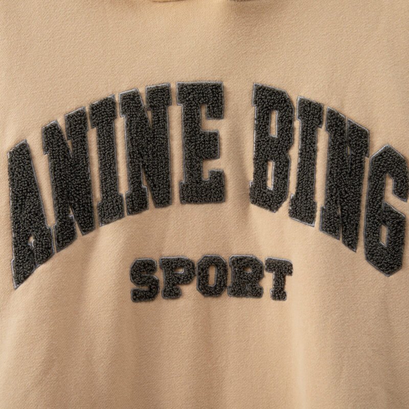 Yellow Classic Letter Hand-cranked Embroidered Round Neck Lining Plus Velvet Women's Hooded Sweatshirt-ABS2408YEL - 图片 3