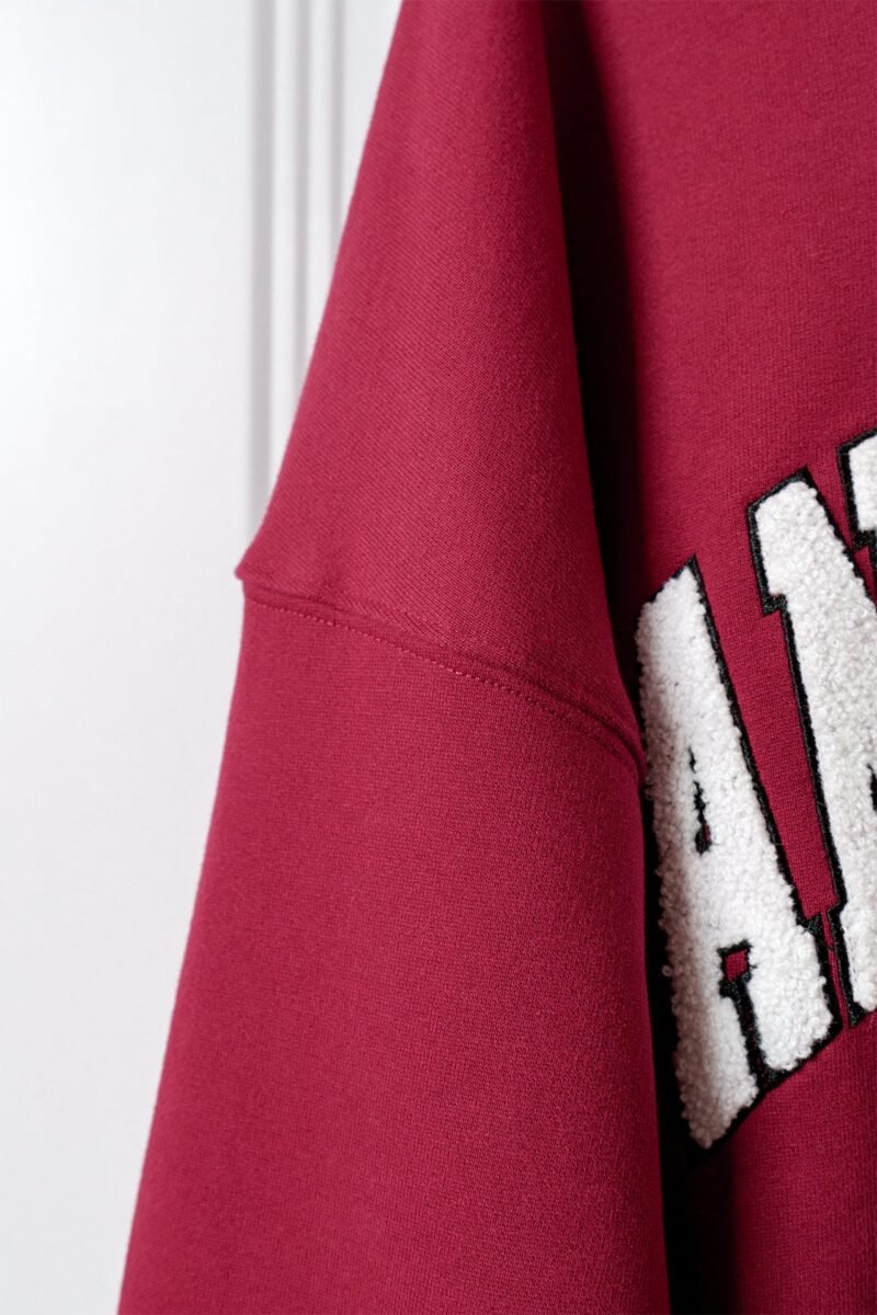 Burgundy Classic Letter Embroidered Fleece Women's Hoodie-ABS2509RD - 图片 10