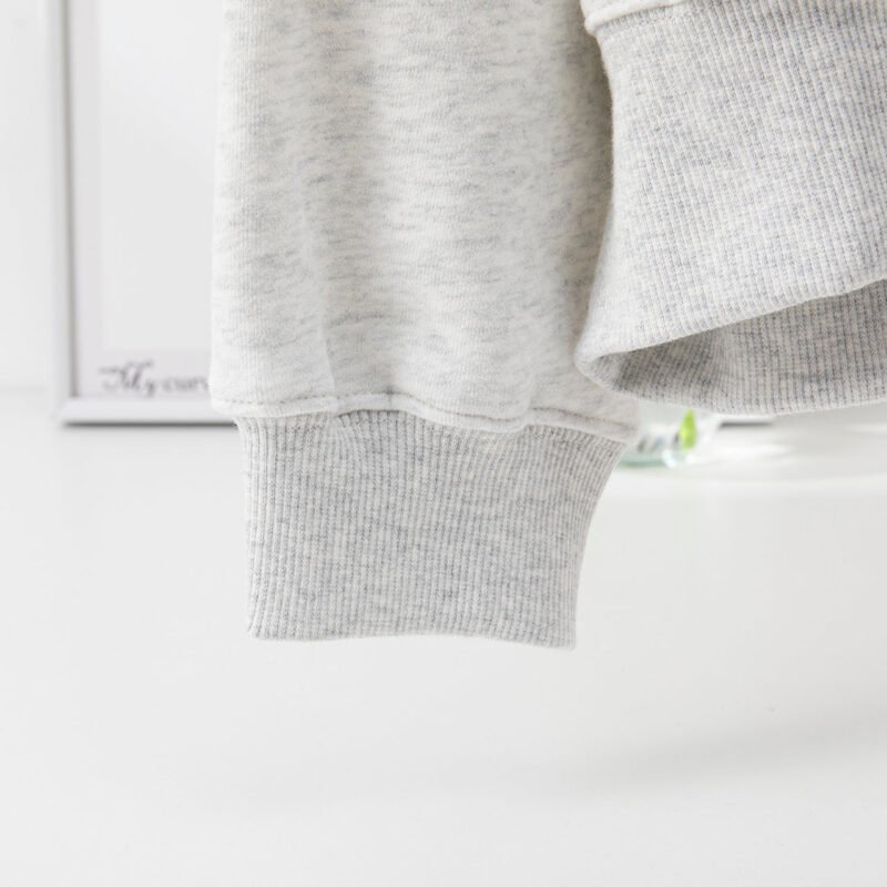 Autumn and Winter Women's Classic Letter Print Lining Fleece Gray Hooded Sweatshirt-ABS02401GY - 图片 7