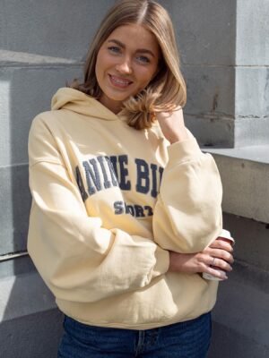Yellow Classic Letter Hand-cranked Embroidered Round Neck Lining Plus Velvet Women's Hooded Sweatshirt-ABS2408YEL