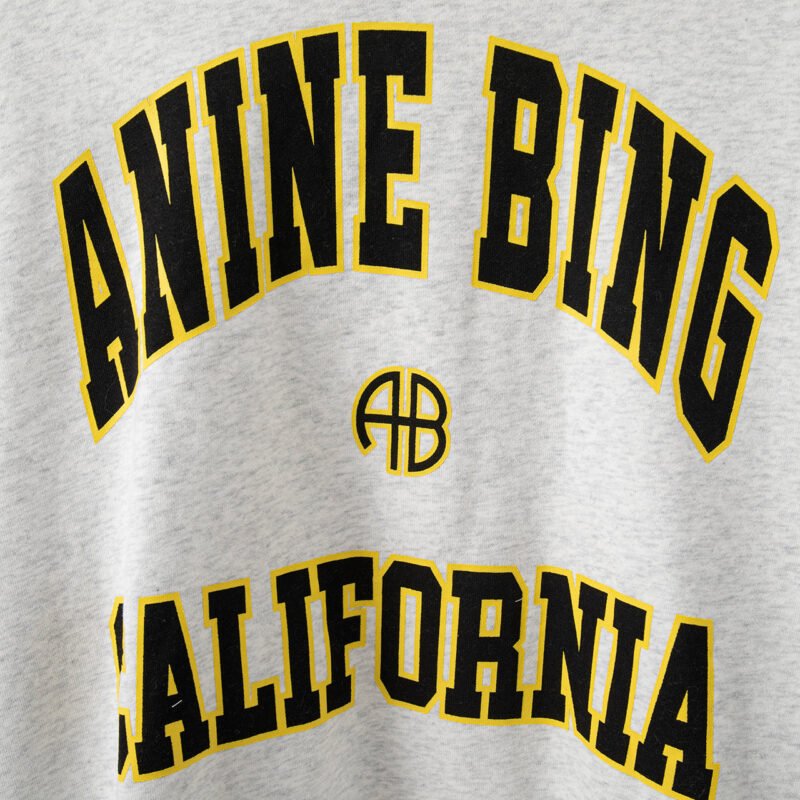 Autumn and Winter Classic Letter Print Lining Fleece and Velvet Women's Round Neck Sweatshirt- ABS2440GY - 图片 4